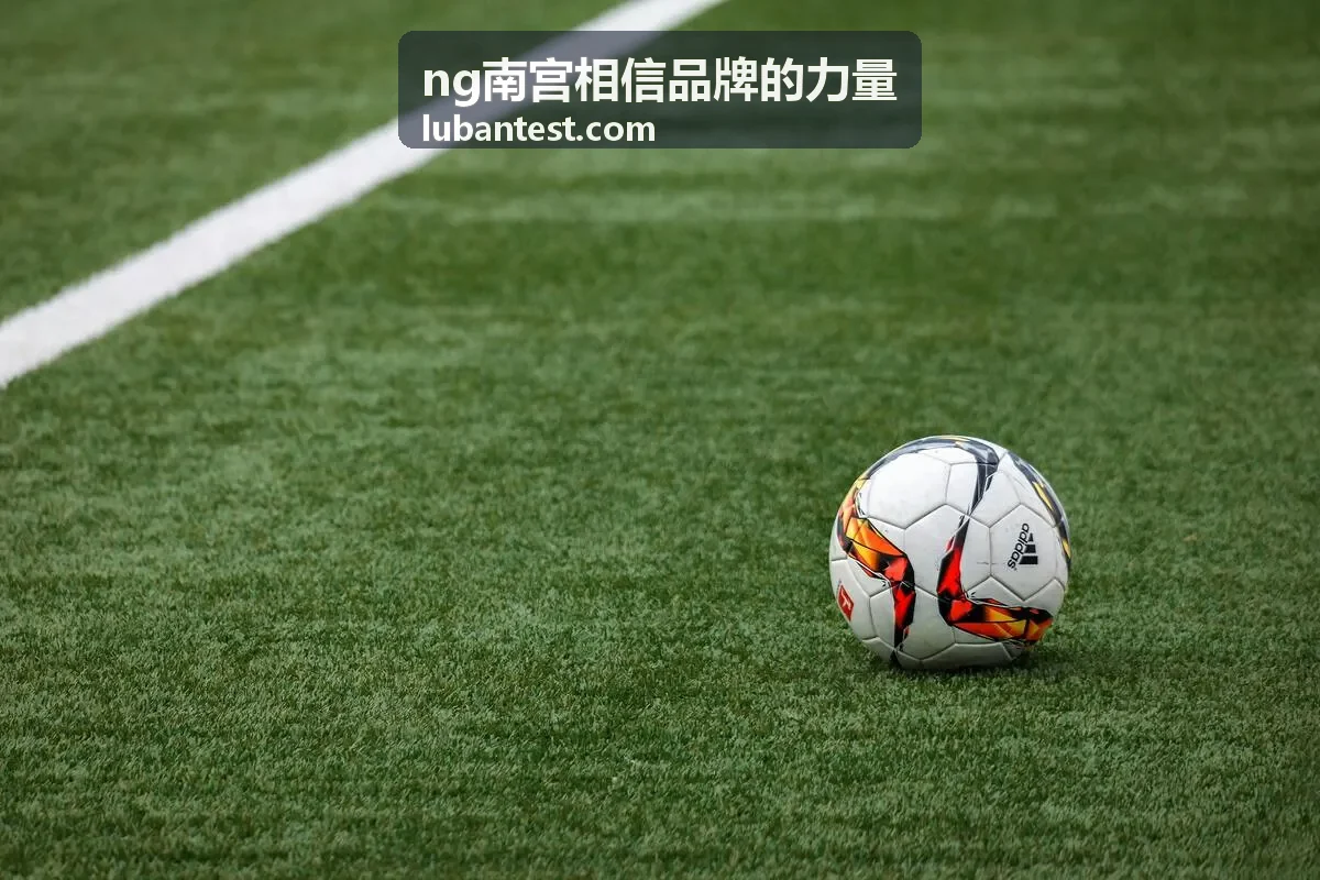 ng南宫相信品牌的力量 品牌视觉资产整理